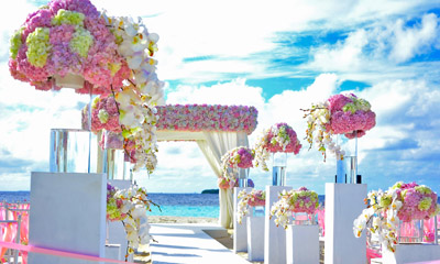 Weddings & Honeymoons